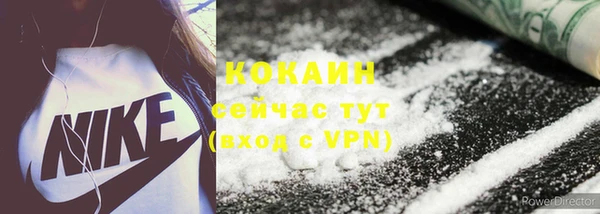 крисы Богданович