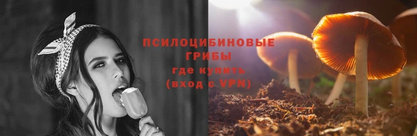 крисы Богданович