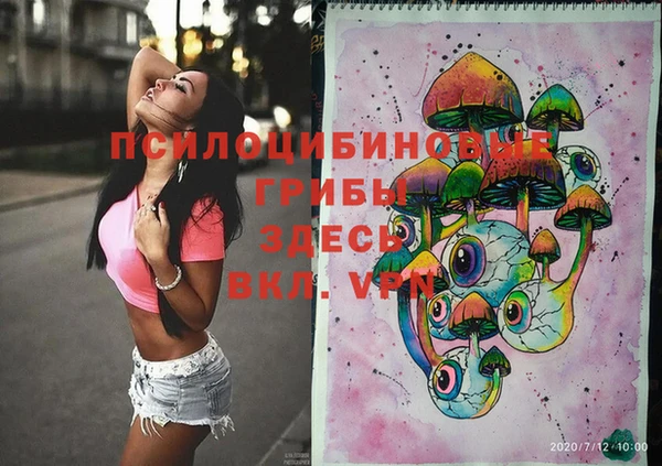 крисы Богданович