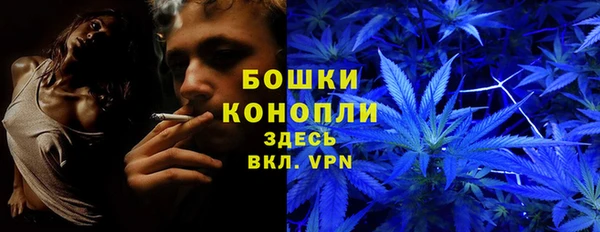 крисы Богданович