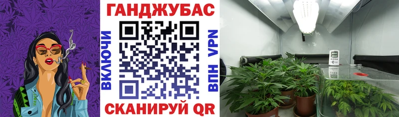 Канабис марихуана Дубовка