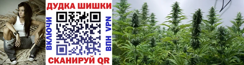 Конопля семена  Дубовка 